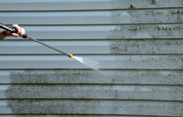 Best Residential Pressure Washing Services  in Ridgebury, CT