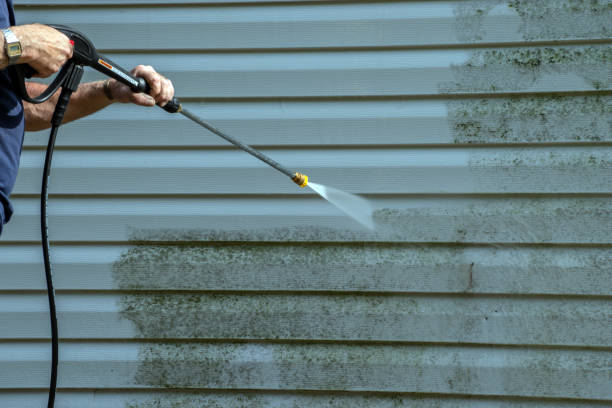 Best Exterior Home Cleaning  in Ridgebury, CT